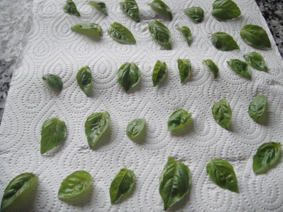 Basil leaves