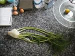Fennel on my kitchen counter