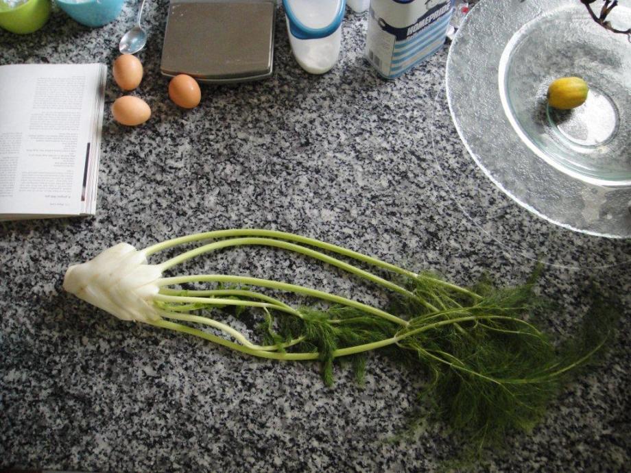 Fennel on my kitchen counter
