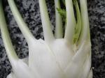 Fennel in close up