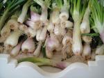 Spring onions