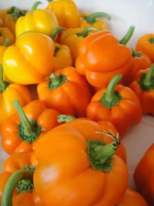 orange peppers