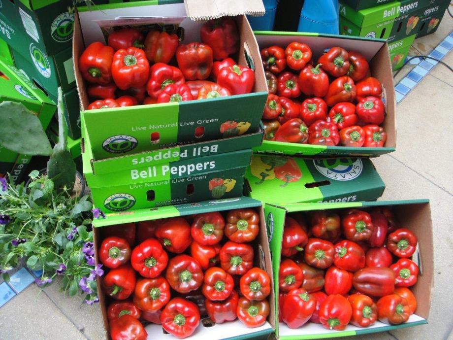 red peppers