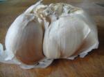 Garlic