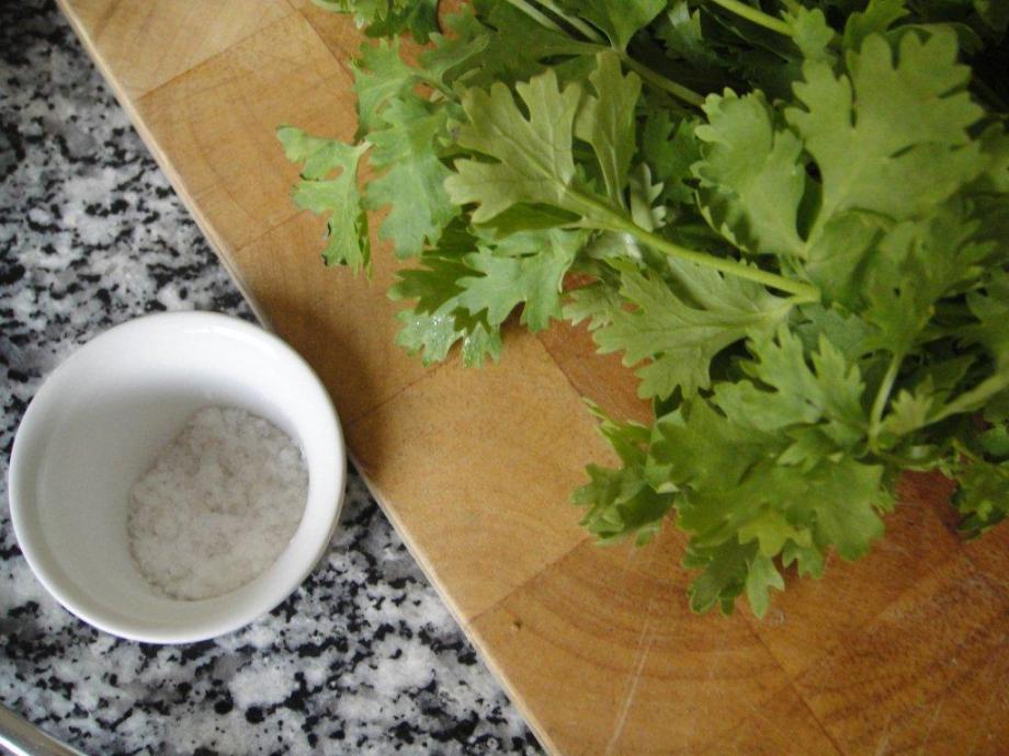 Coriander or cilantro