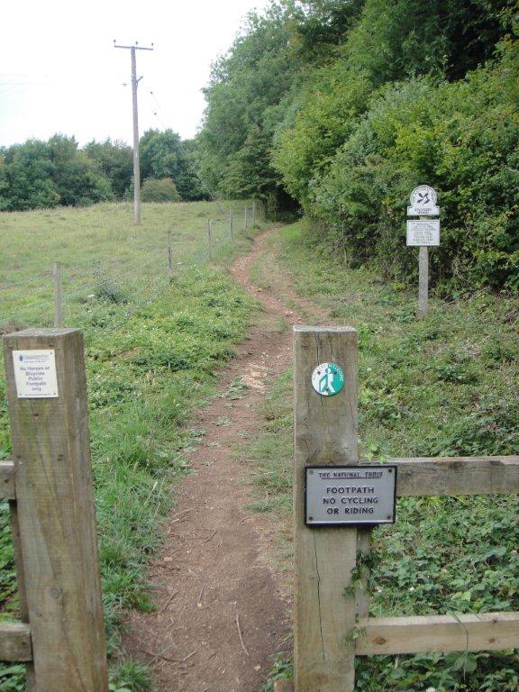 The way into the woods