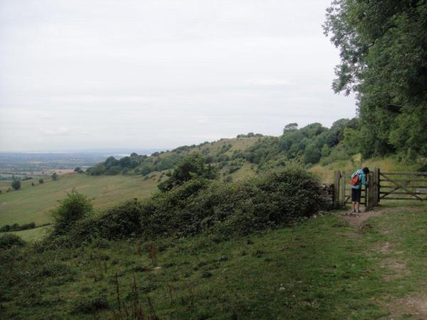 Along the Cotswold way