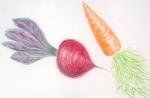 Beetroot and carrot