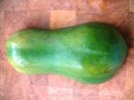 Papaya