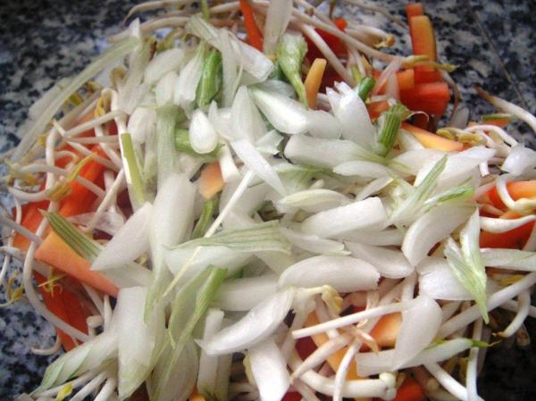 Papaya salad