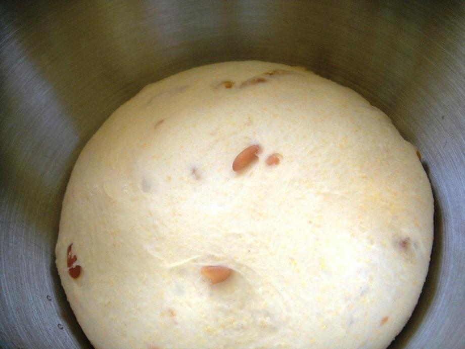 Risen polenta dough