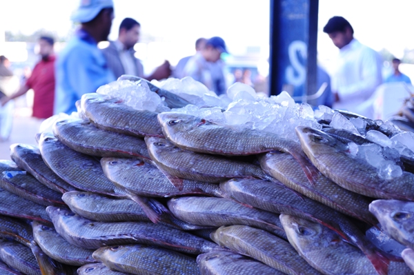 The fish market, Deira