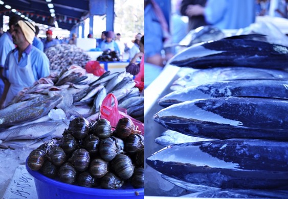 Omani lobsters and shining king fish