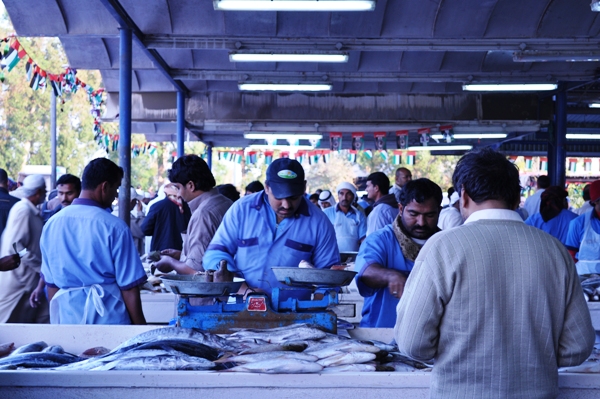 Deira fish market Dubai 