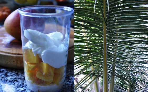 Ingredients for smoothie and palm trees
