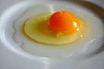 an egg