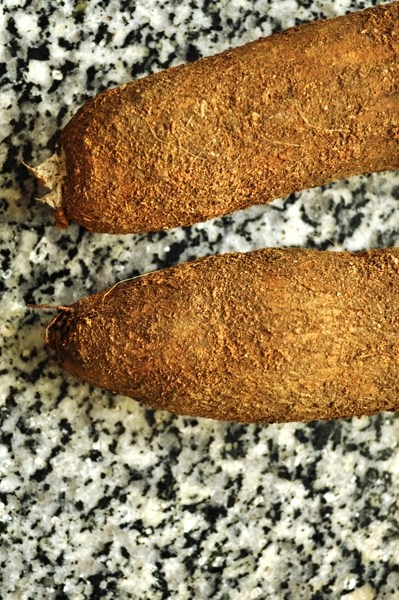 Cassava root