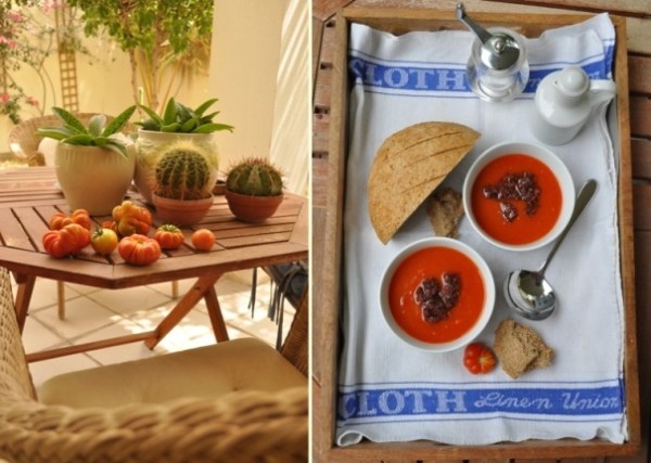 Tomatoes ripening and fresh tomato soup