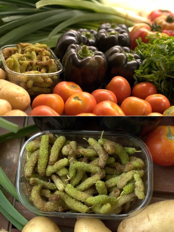Vegetables from market