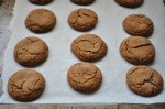 Ginger chocolate biscuits
