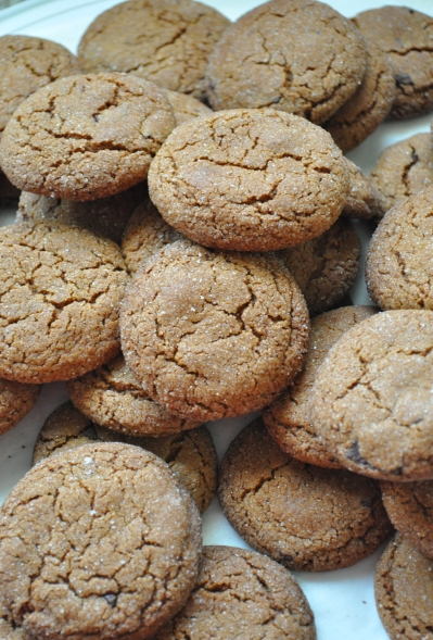 Ginger chocolate biscuits
