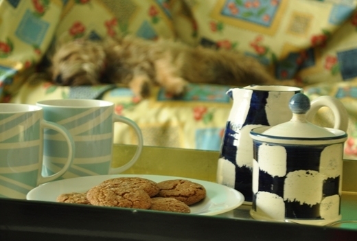 Biscuits in foreground dog asleep in background
