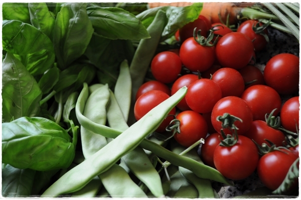 Farmers Market Dubai (3)