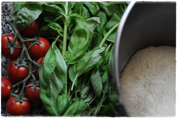 Dough with tomatoes and basil