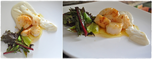 Scallops with cauliflower puree