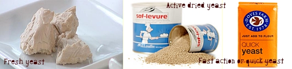 Yeast for bread-making