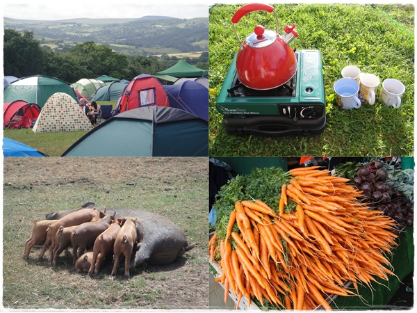 Chagstock camping pigs