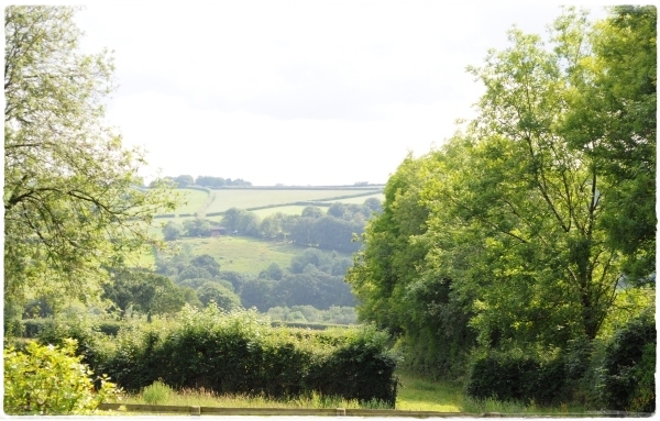 View from kitchen window