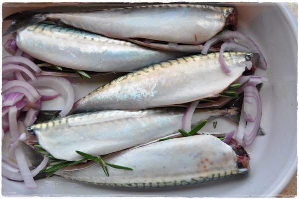 Mackerel stuffed with rosemary