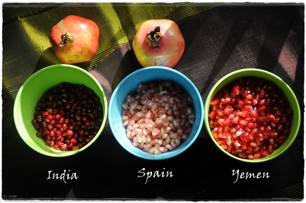 Three kinds of pomegranate seeds