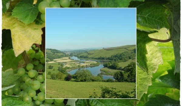 View going into Sharpham