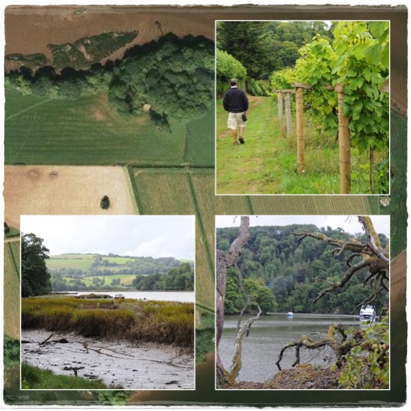 Sharpham trek and taste