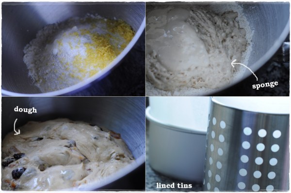 Ingredients and dough for panettone