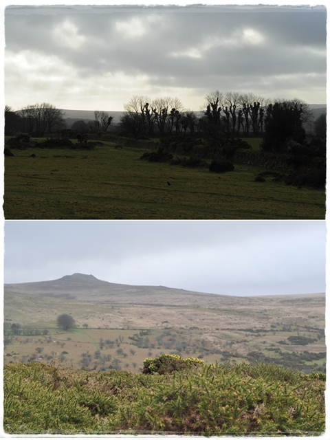 Dartmoor