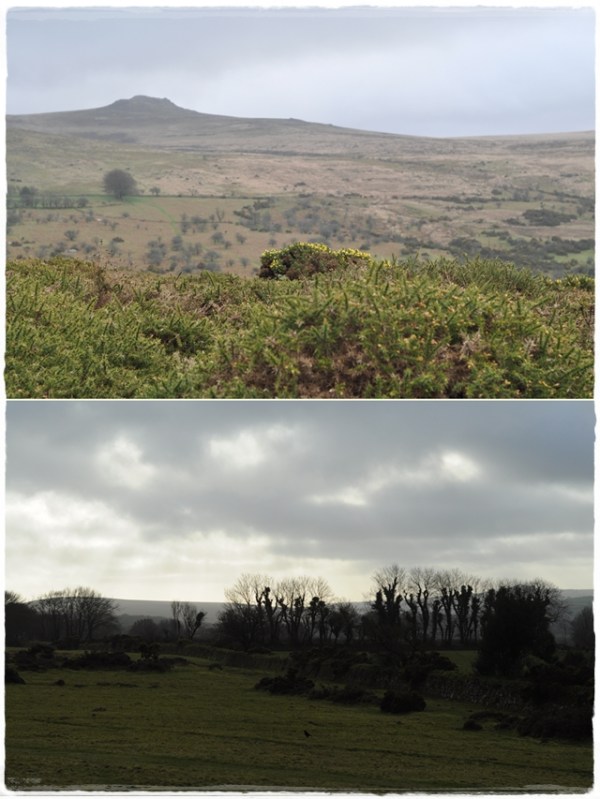 Dartmoor