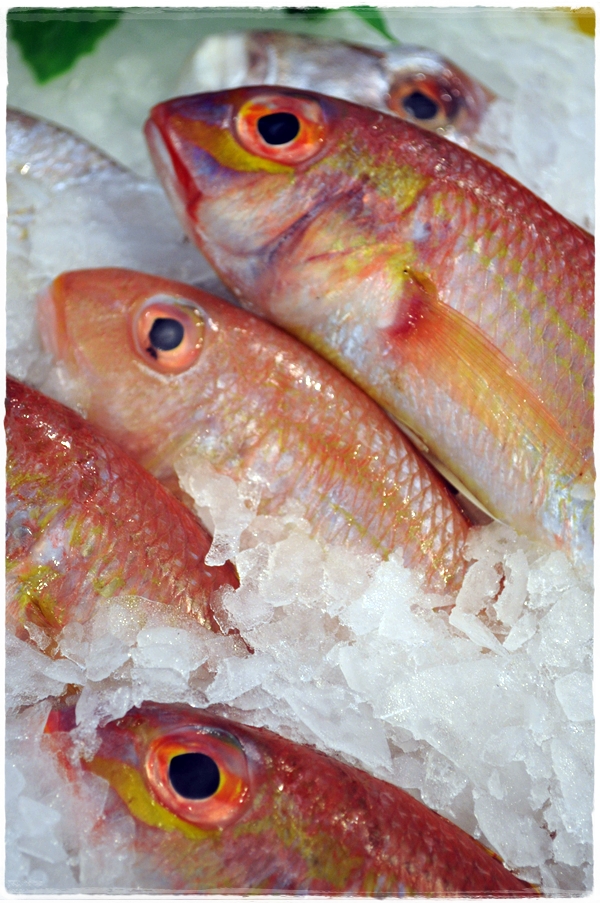 Fish at Lafayette Gourmet