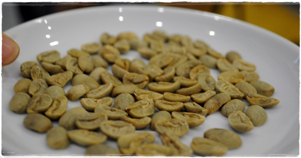 Unroasted coffee beans