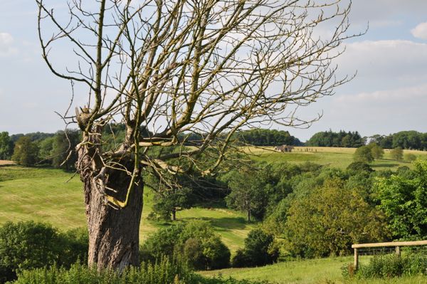 View with interesting folly