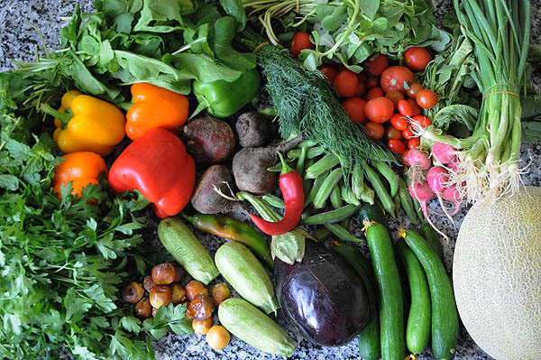 Organic veg from Greenheart