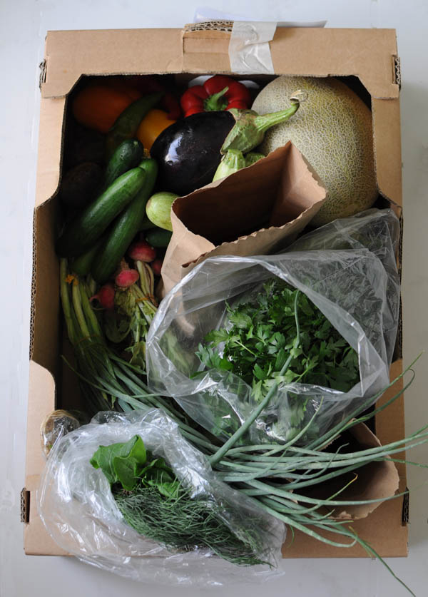 Greenheart veg box