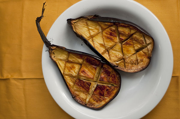 Grilled aubergines