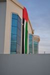 UAE_National_Day_Walking_on_Sunshine