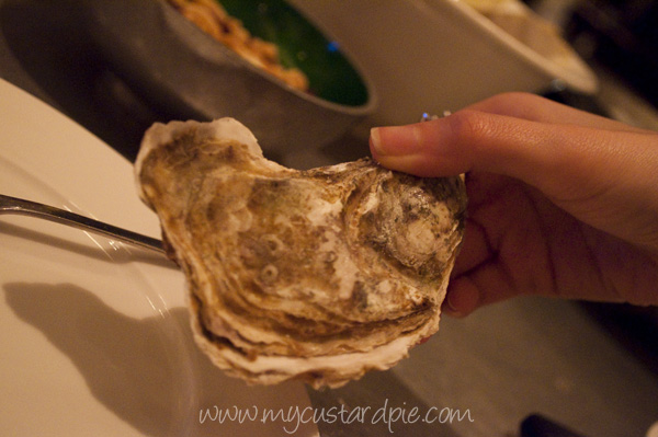 Muirgen oyster - this is a size 1