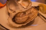 Oysters