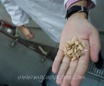 Oak chips for smoking salmon – mycustardpie.com