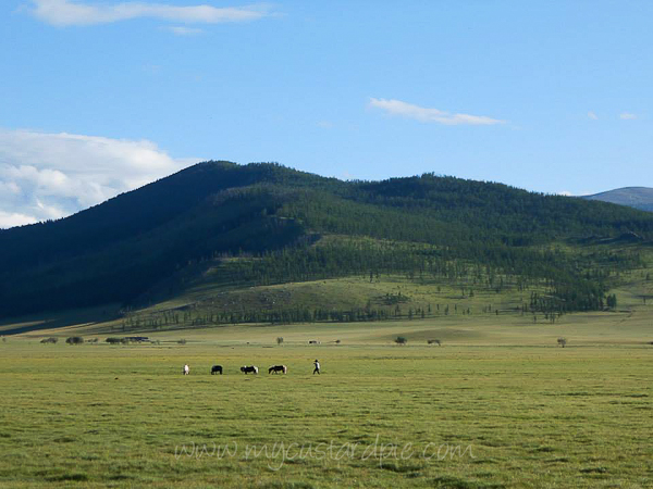 Mongolia